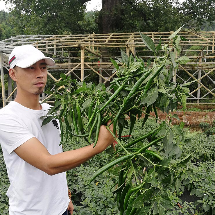 Z6·人生就是博(中国区)官方网站