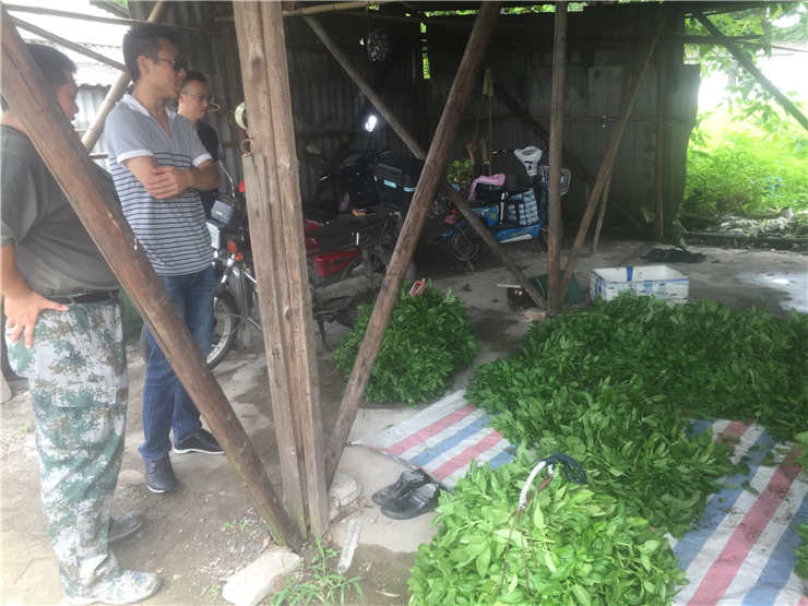 Z6·人生就是博(中国区)官方网站