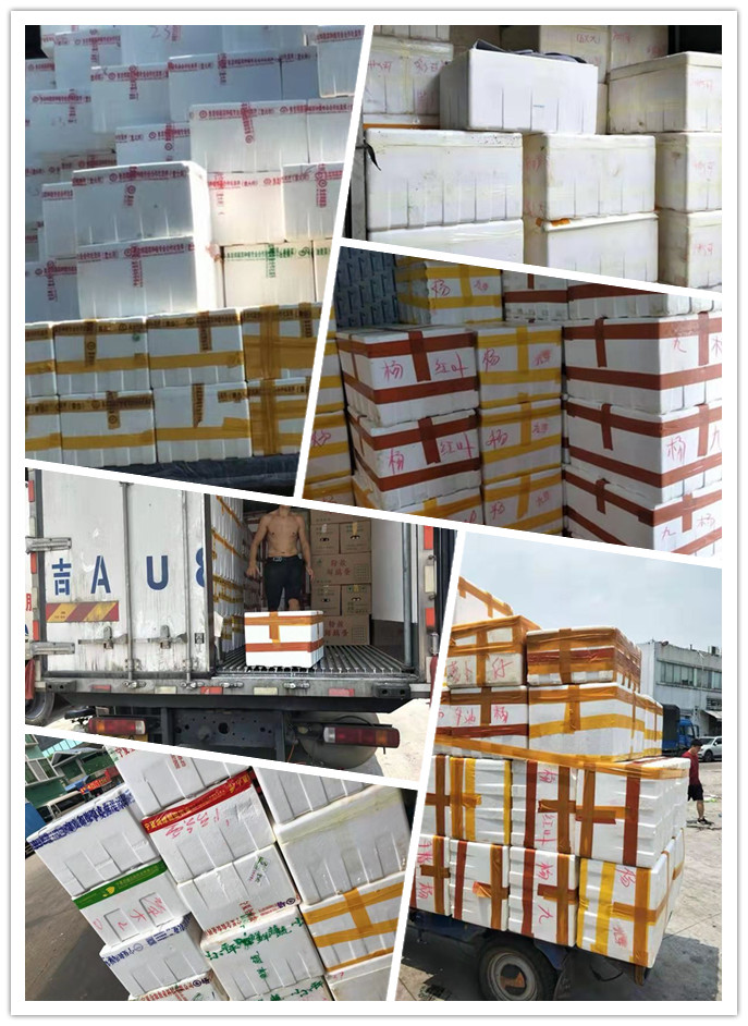 Z6·人生就是博(中国区)官方网站