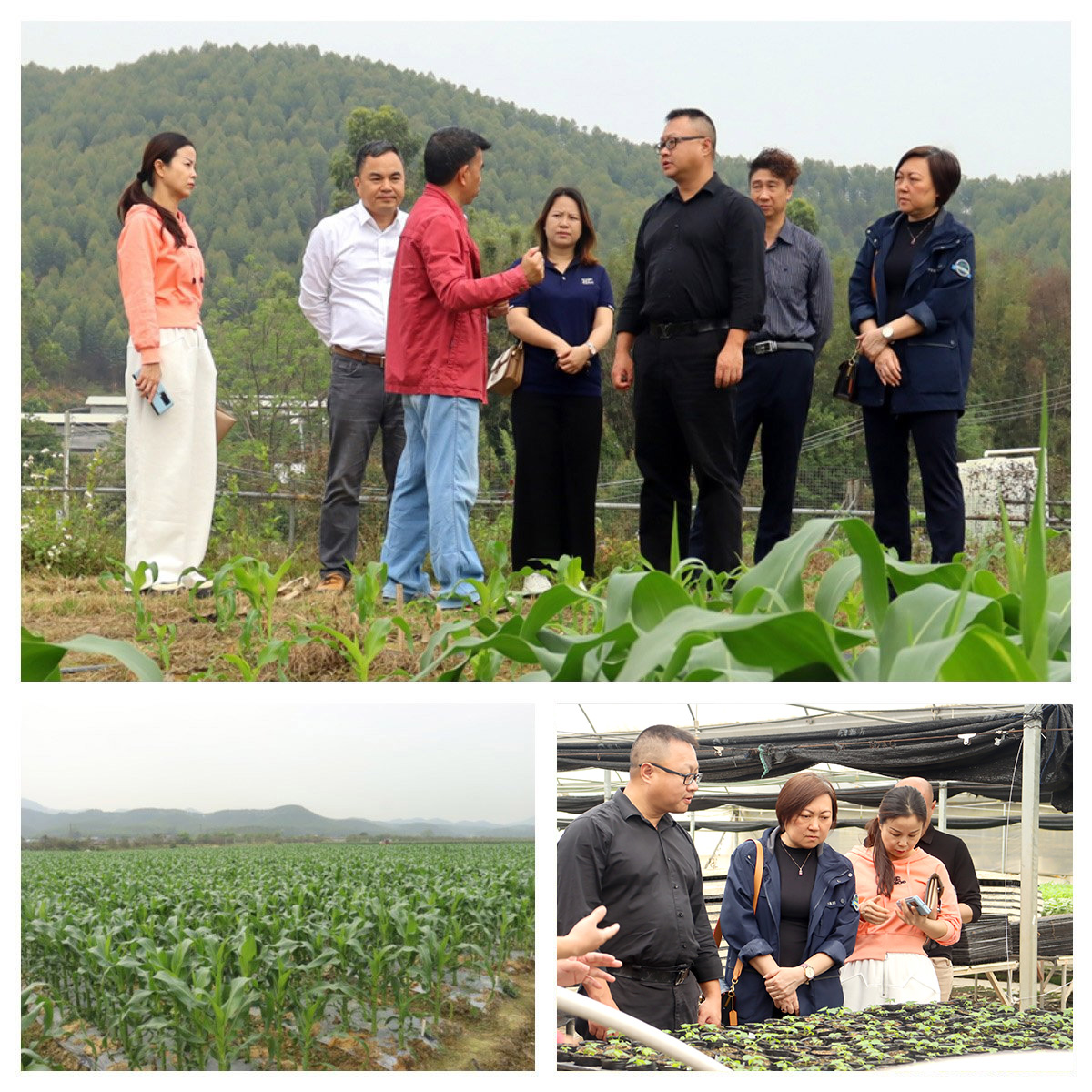 Z6·人生就是博(中国区)官方网站