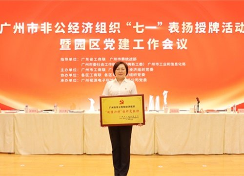 标杆引领，荣誉升级！集团党支部荣膺广州市非公有造经济组织“双强六好”标